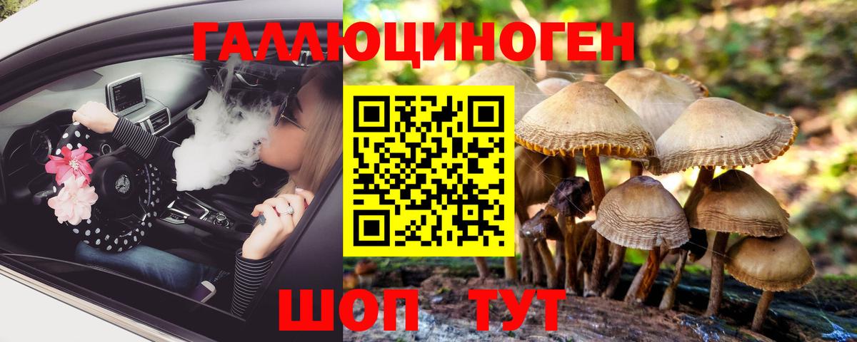 Псилоцибиновые грибы прущие грибы  продажа наркотиков  Тула  Вход с VPN 